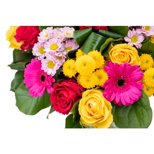Bouquet with roses and germinis